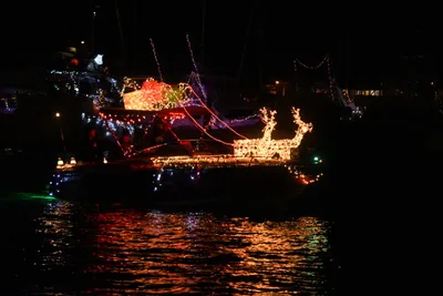 DSC_2516 (Large).JPG